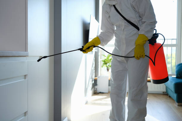 Best Emergency Mold Remediation in Larkspur, CA